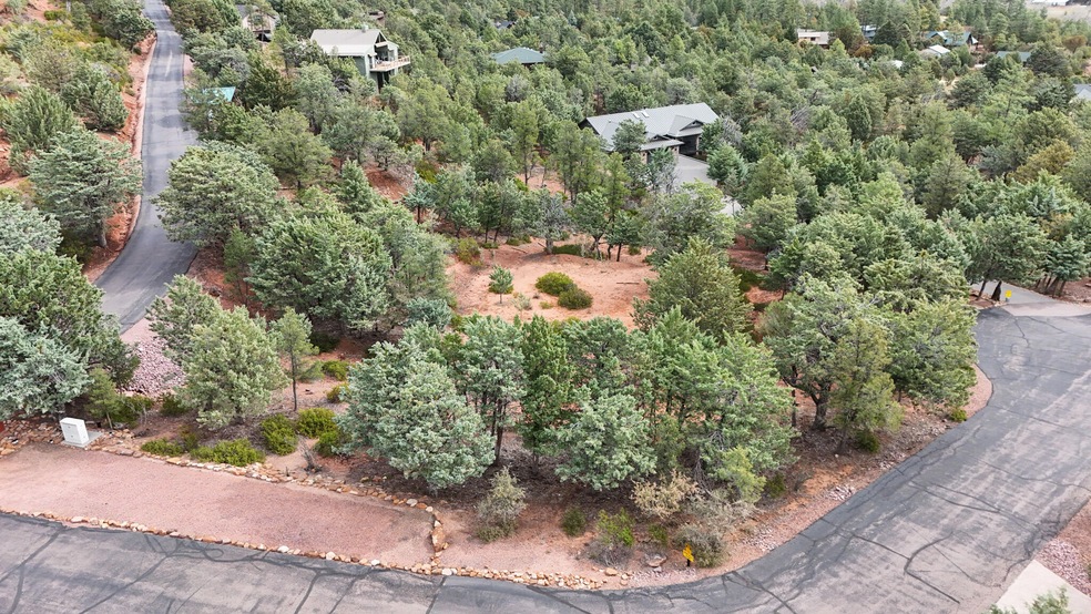 1061 Fox Hat Trail, Pine, AZ 85544 - photo 1