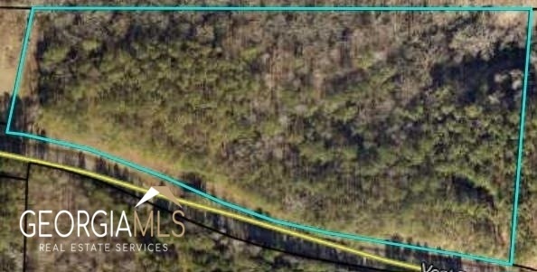 567 Veal Blackjack Rd, Bowdon, GA 30108 - photo 1