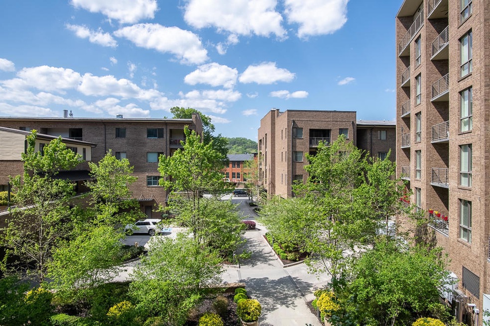 North Shore Courtyard
