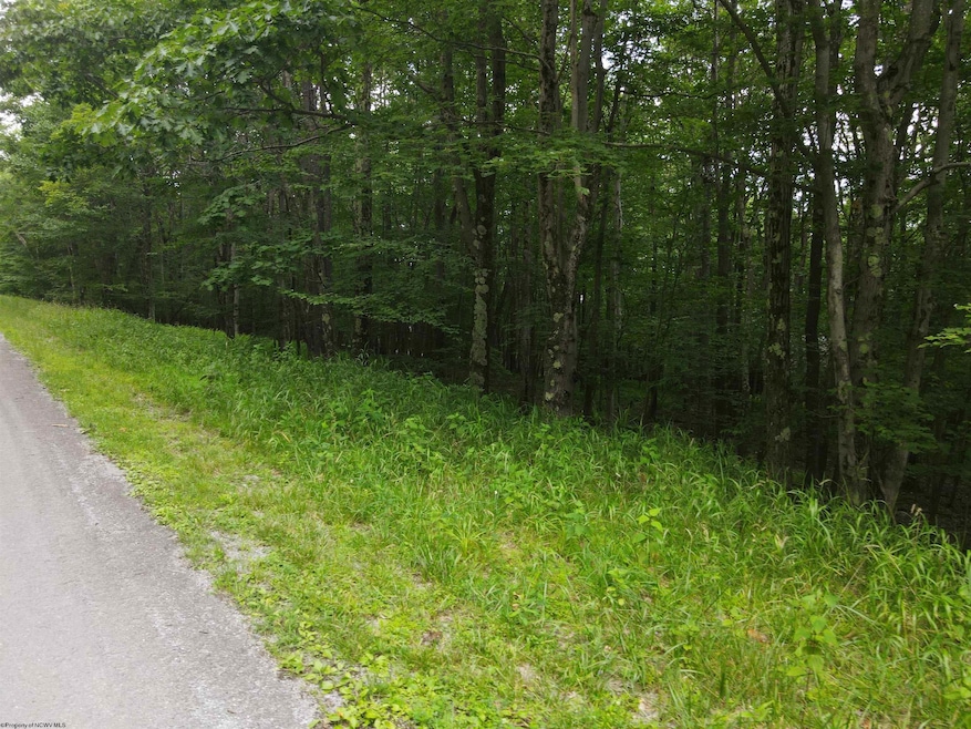 138 Day Lily Cir, Terra Alta, WV 26764 - photo 1