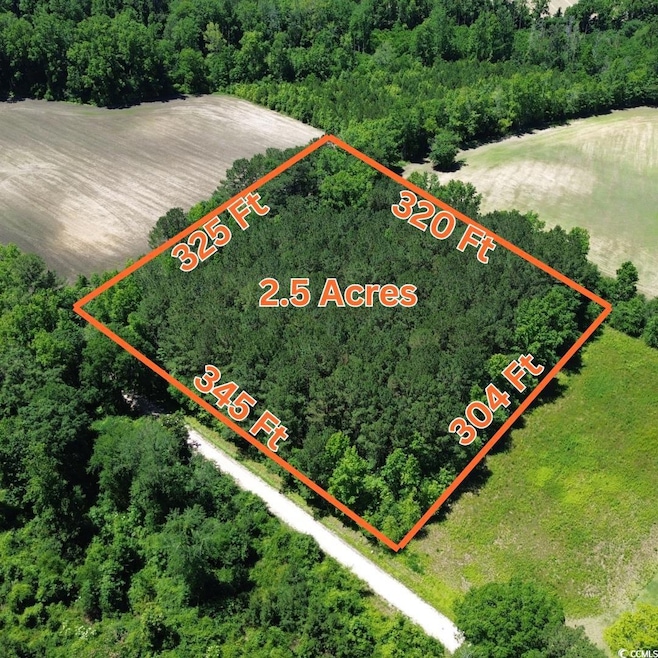 Aerial overview of property's location with property boundaries highlighted and a heavily wooded area