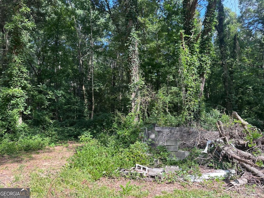 966 Judkin Mill Rd, Cedartown, GA 30125 - photo 1