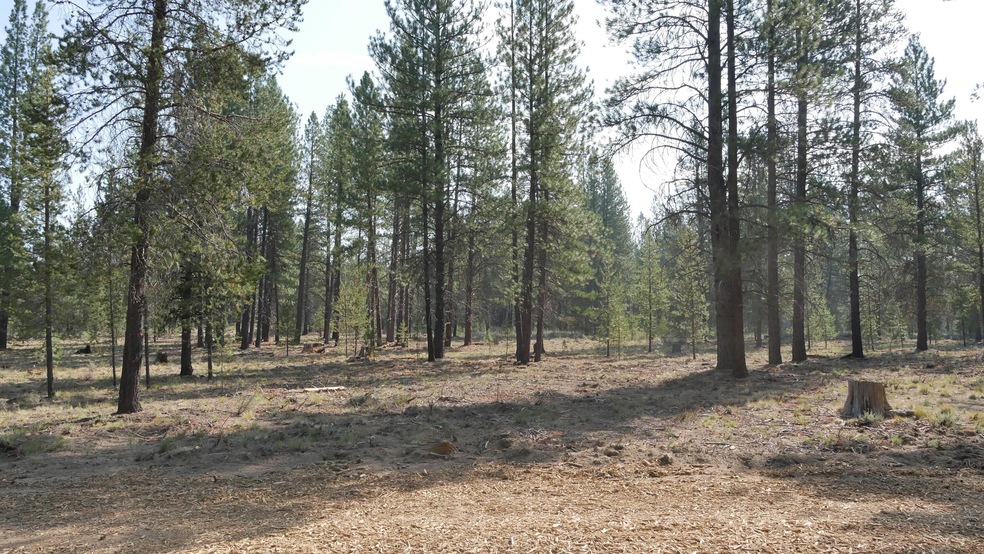 Front of homesite
