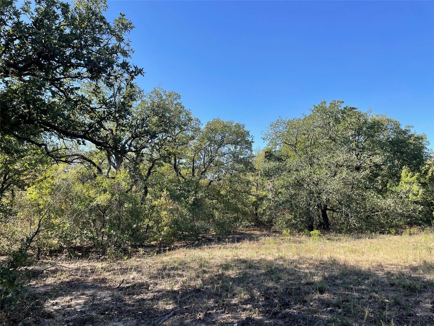 149 Paradise Oaks Ct, Paradise, TX 76073 - photo 1