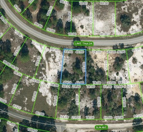 658 Lake Tina Dr, Lake Placid, FL 33852 - photo 1