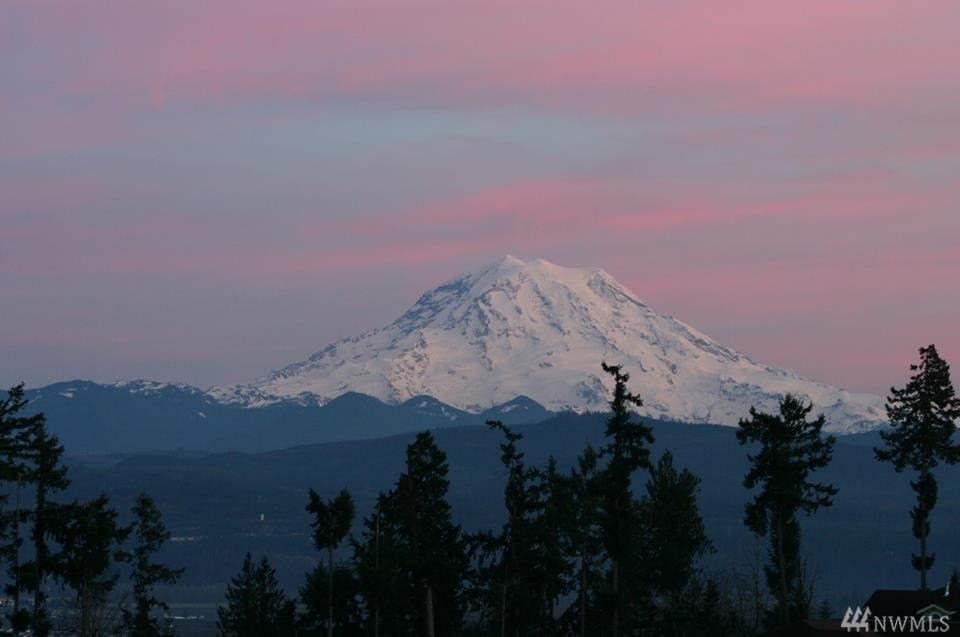 16909 139th Ave E, Puyallup, WA 98374 - photo 1