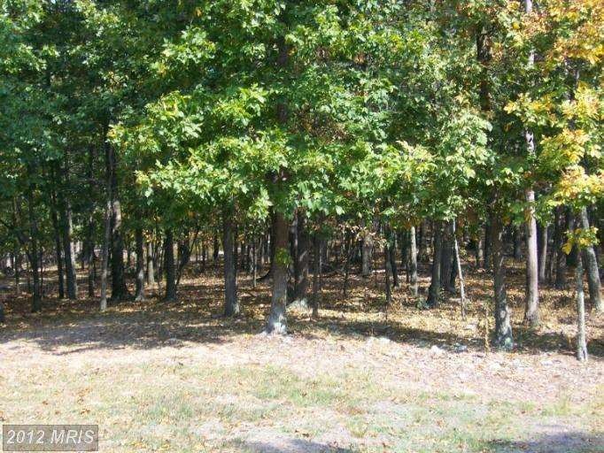 0 Thorn Bottom unit 1003933364, Lost City, WV 26810 - photo 1