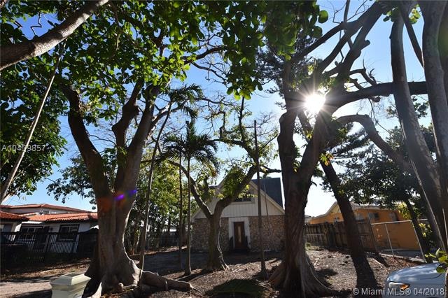 The awesome trees here got trimmed by Irma.  They 