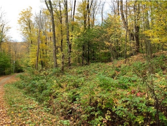 Lot 42 N Ryder Pond, Whitingham, VT 05361 - photo 1