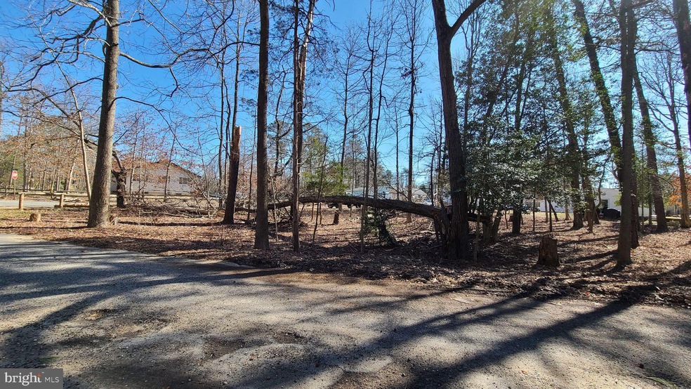 1013 NE Lakeshore Dr, Millville, NJ 08332 - photo 1