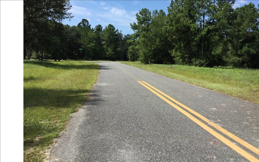 177 Mossy Oak Way, Lake City, FL 32055 - photo 1