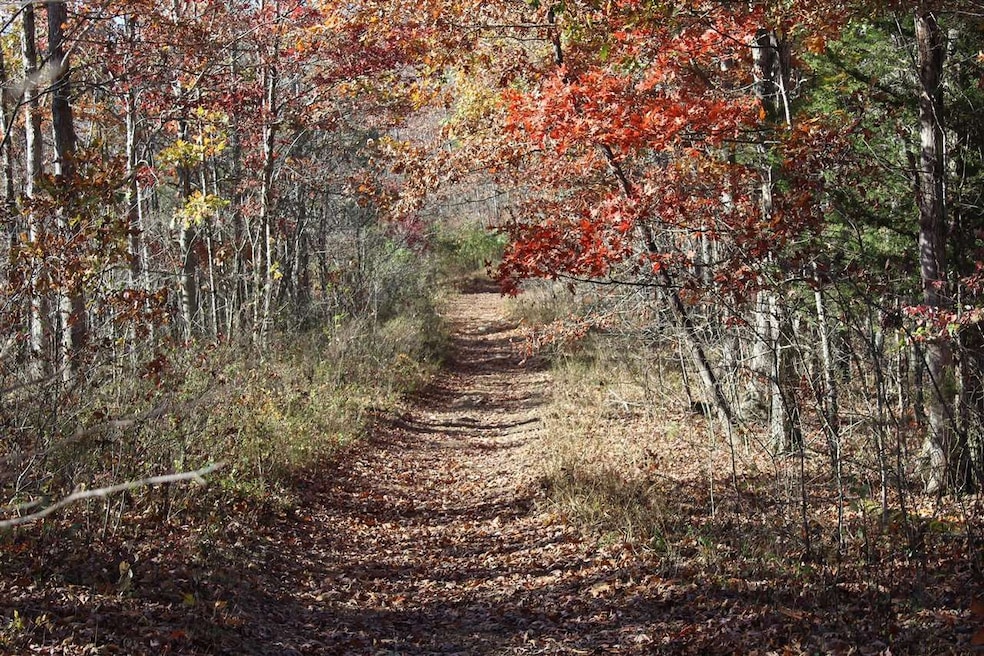 0 Deadend Trail, Garrison, KY 41141 - photo 1