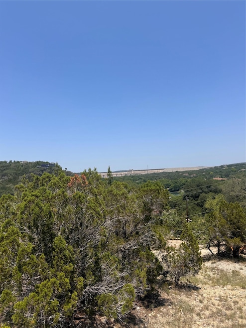 View of local wilderness