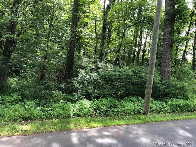 33 Wells Rd, East Windsor, CT 06088 - photo 1