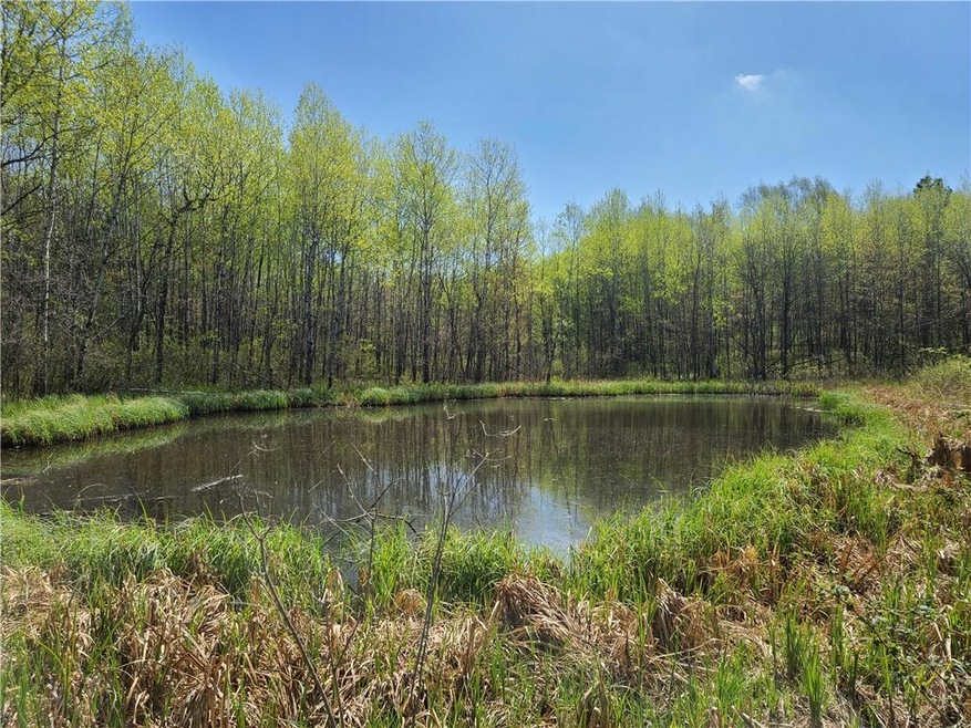 Lot 3 Ashtons Way, Webster, WI 54893 - photo 1