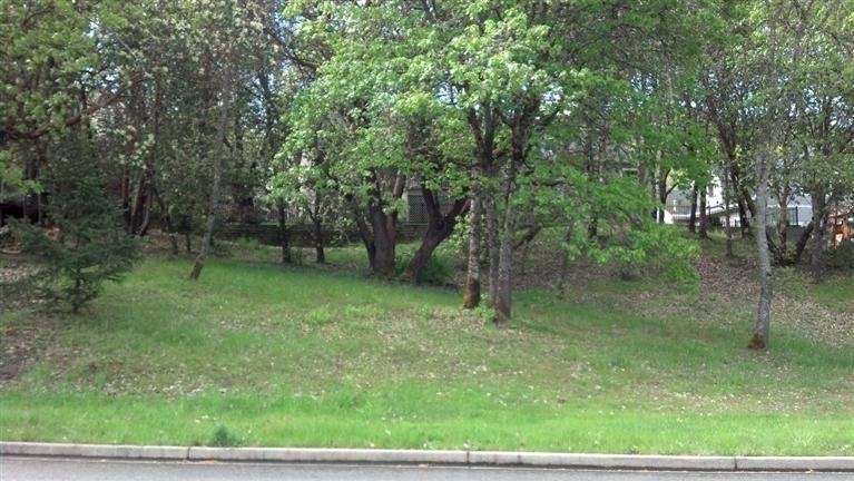 0 Haviland Dr unit 25 102975576, Grants Pass, OR 97527 - photo 1