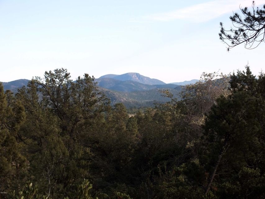 Picturesque Mountain Views