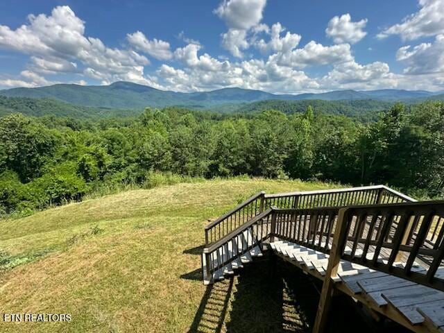 1015 Kizzy Patch Way, Del Rio, TN 37727 - photo 1