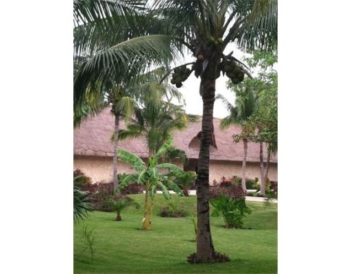 71 Fayette St unit 1, Lynn, MA 01902 - photo 1