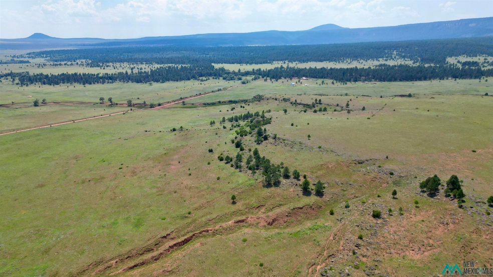 Pending $700,300 • Co-Listing Agent