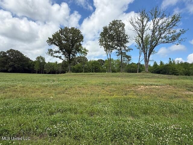 Lot 15 pic