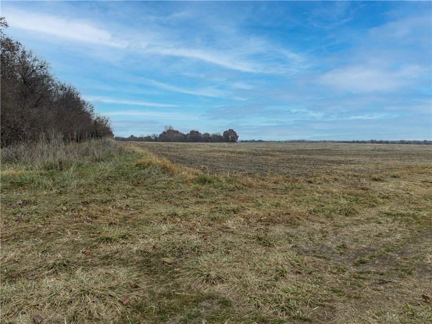 Tract 1 S Pryor Rd, Pleasant Hill Township, MO 64080 - photo 1