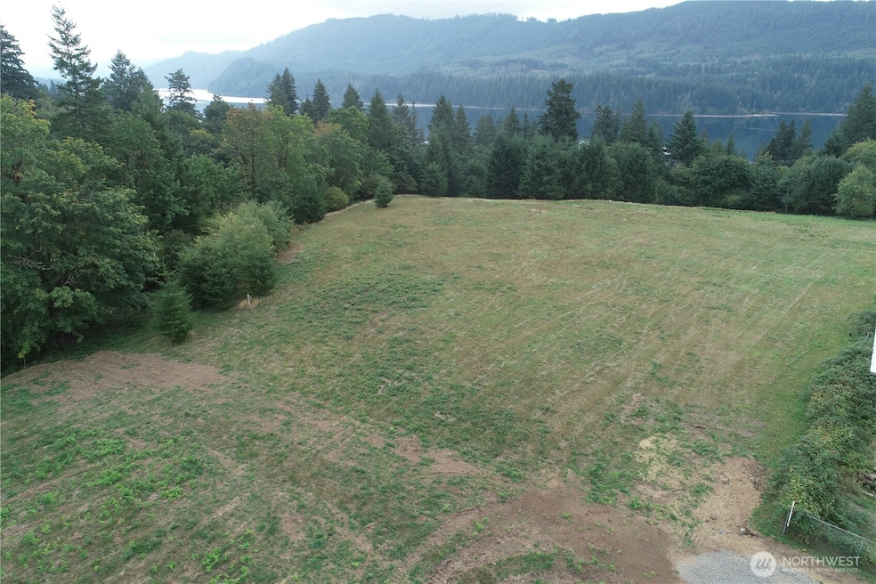 290 Wilkinson Rd, Ariel, WA 98603 - photo 1