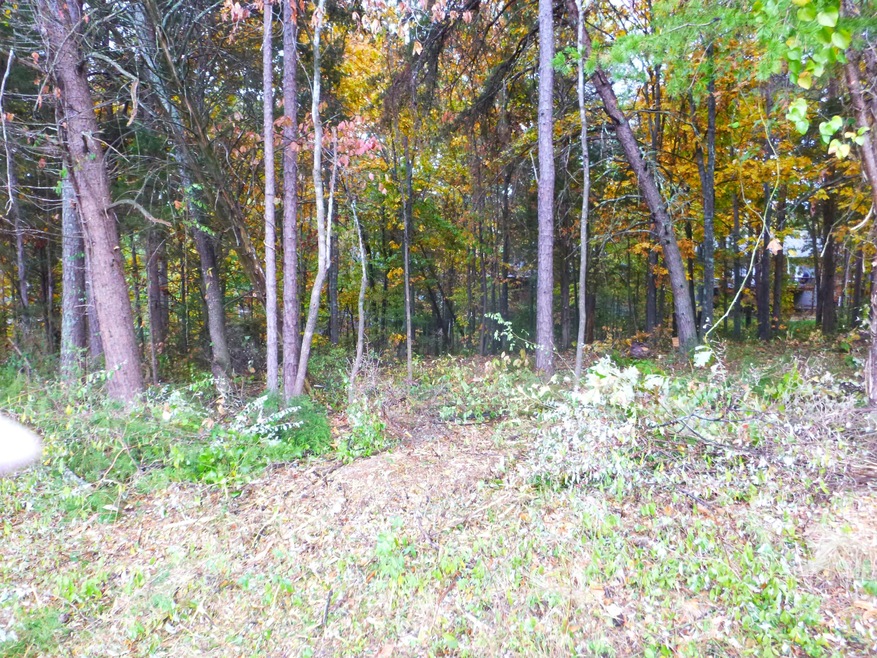 202 Okema Trace 1