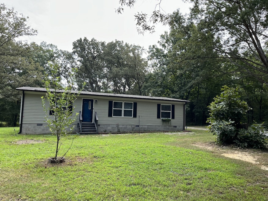 917 Bowling Alley Rd, Manchester, TN 37355 - photo 1