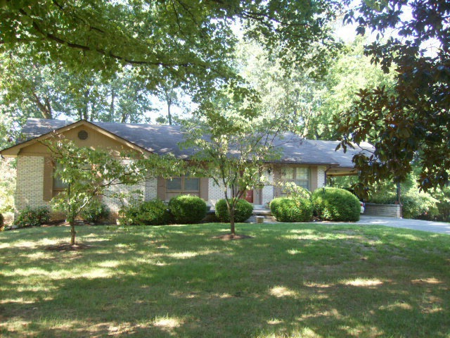 Main View