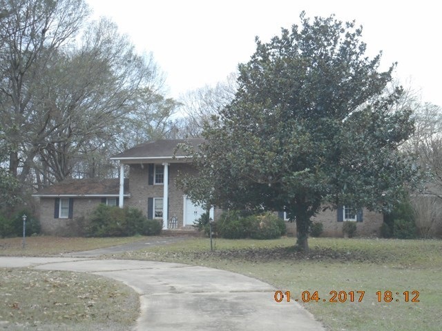 Primary Photo