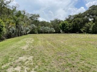 6015 Eureka Springs Rd, Tampa, FL 33610 - photo 1