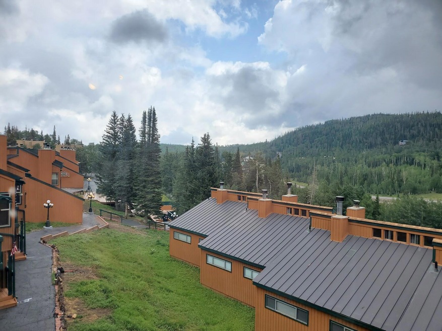 view