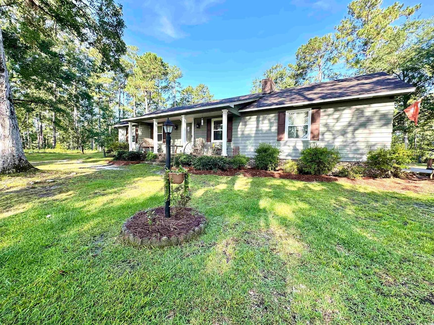 317 Wheeler Rd, Andrews, SC 29510 - photo 1