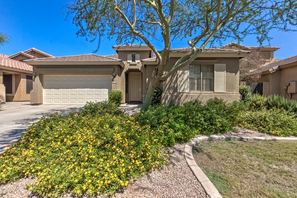 1167 N Cholla St-1