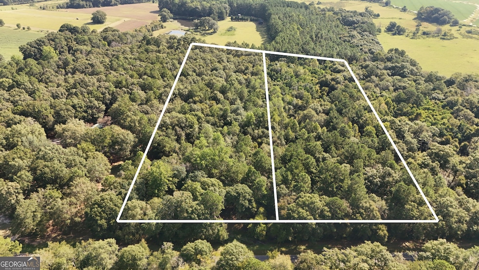 LOT 224 Chula Brookfield Rd, Tifton, GA 31794 - photo 1