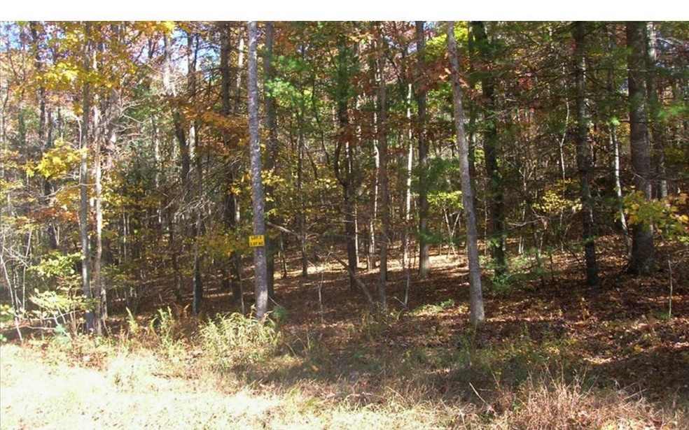 LOT 3 Peter Knob Rd, Blue Ridge, GA 30513 - photo 1