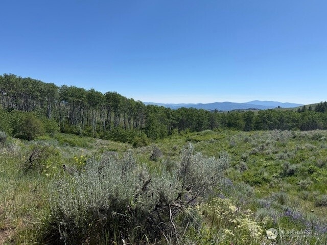 111 Tbd Ellemeham Ridge Rd, Oroville, WA 98844 - photo 1