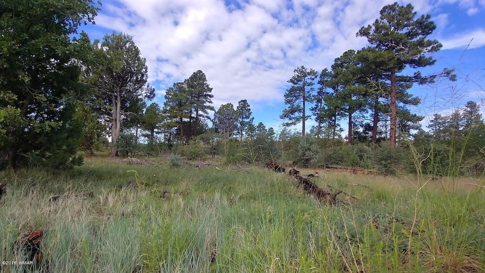 Tall Pines A