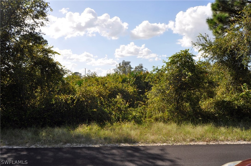 6017 Paula Ave N, Lehigh Acres, FL 33971 - photo 1