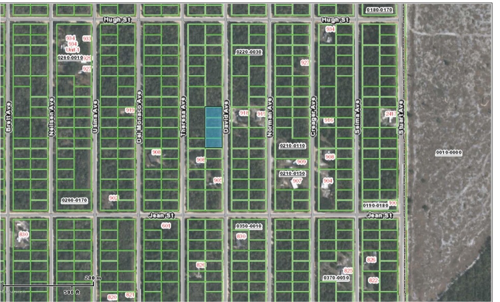 915 David Ave, Interlachen, FL 32148 - photo 1