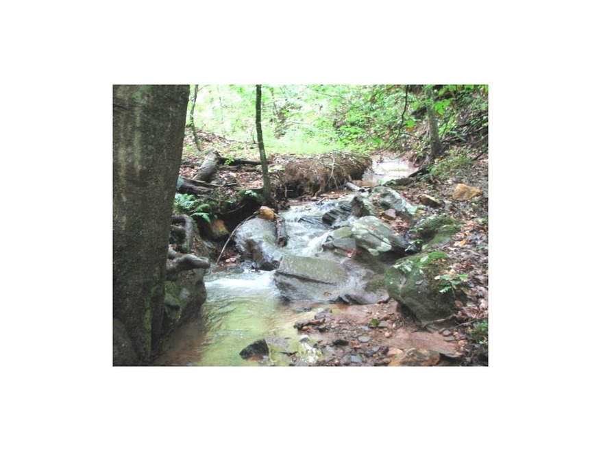 Little Branch Flowing through the Rock
