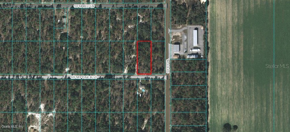 Lot 47 SW Neptune Blvd, Dunnellon, FL 34431 - photo 1
