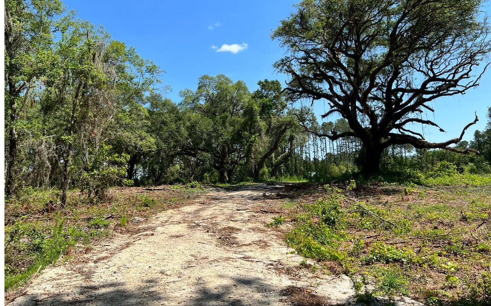 38 NW Treeline Glen, Lake City, FL 32055 - photo 1