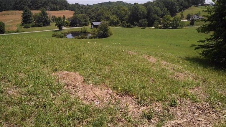 314 Zekes Point Rd, Tyner, KY 40486 - photo 1