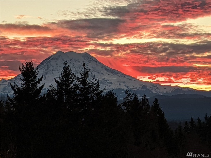 25307 103rd Ave E, Graham, WA 98338 - photo 1