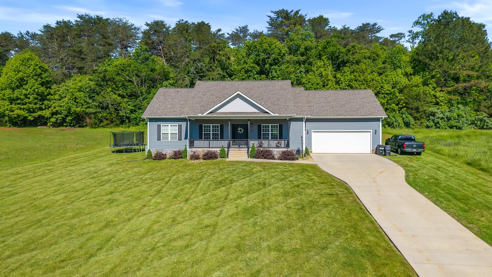 123 Tommy Loop-21