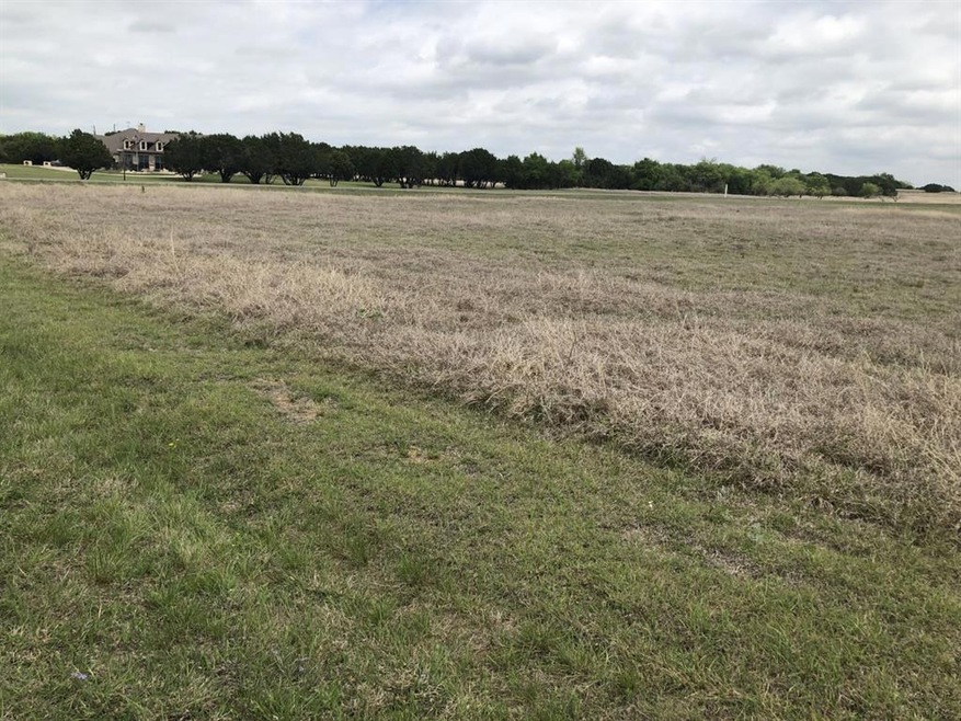 30044 Stonedale Dr & Fieldcrest Dr, Whitney, TX 76692 - photo 1