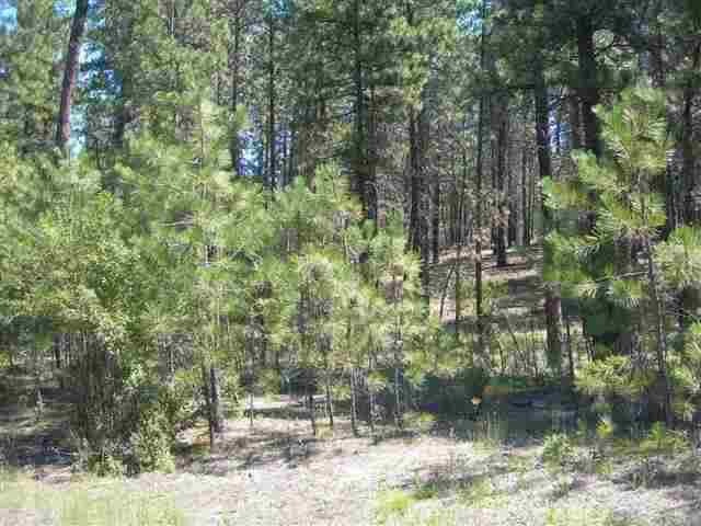 28XX E Golden Rd, Spokane, WA 99208 - photo 1