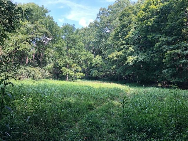 0 Walnut Dowler Rd, Logan, OH 43138 - photo 1